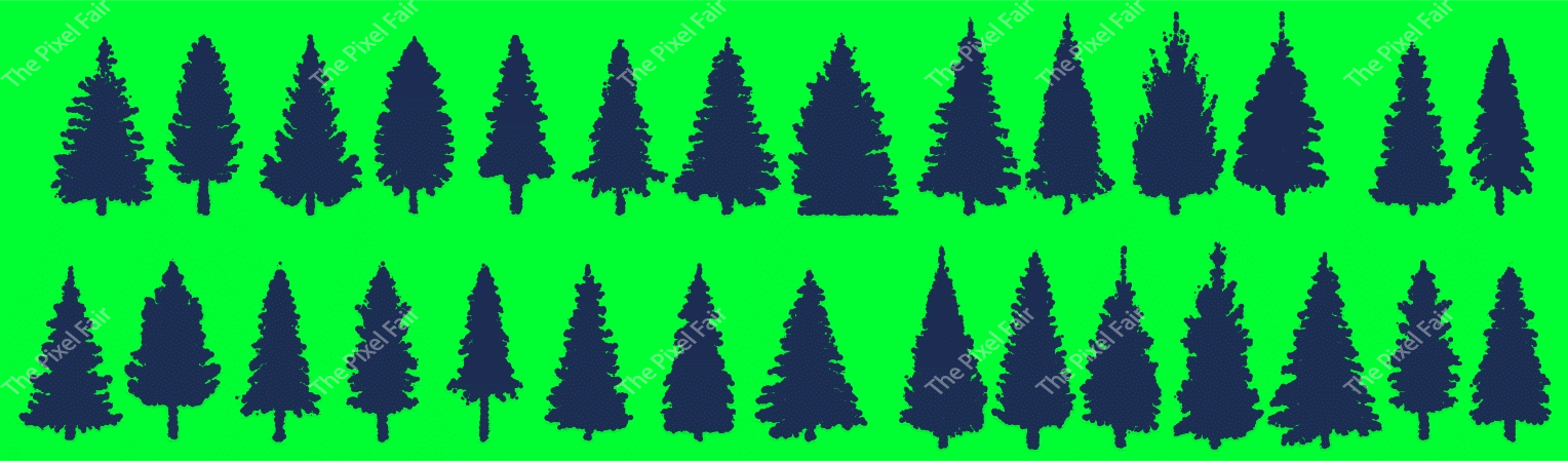 Silhouettes of various evergreen pine trees forming a dense forest landscape for nature backgrounds.