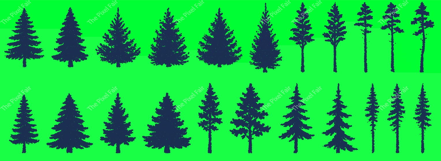 Set of black chalk brush texture coniferous trees on green screen chroma key background, various pine and fir.