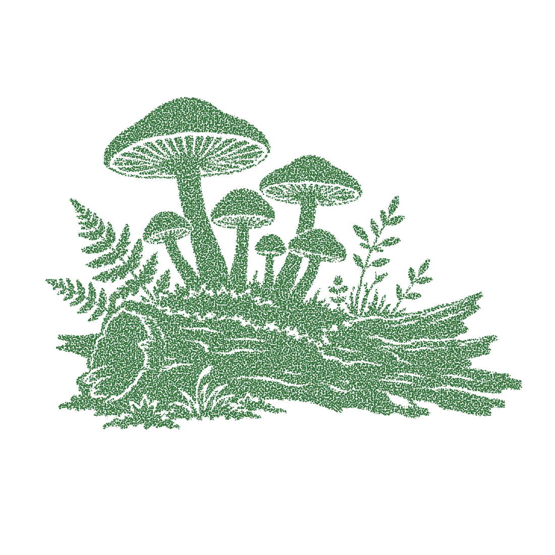 Group of forest mushrooms and mossy ferns in stipple art style composed of green dots isolated on transparent background.